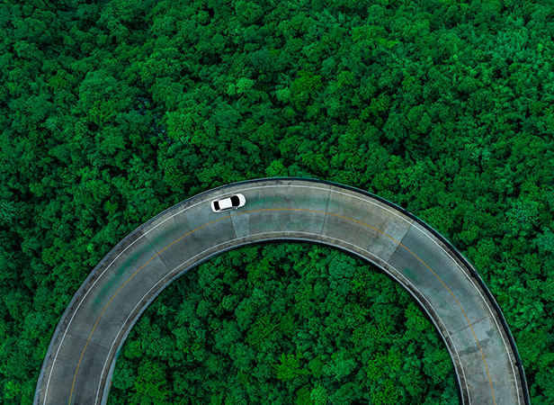 A white car drives along a curved, elevated road surrounded by dense, lush green forest seen from above. The road forms a near-perfect arc, contrasting sharply with the vibrant foliage beneath.